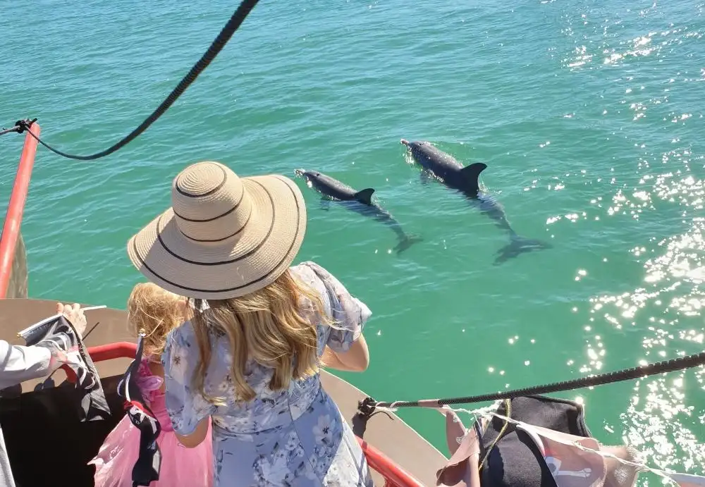 Pirate's Fish & Chips Lunch Cruise