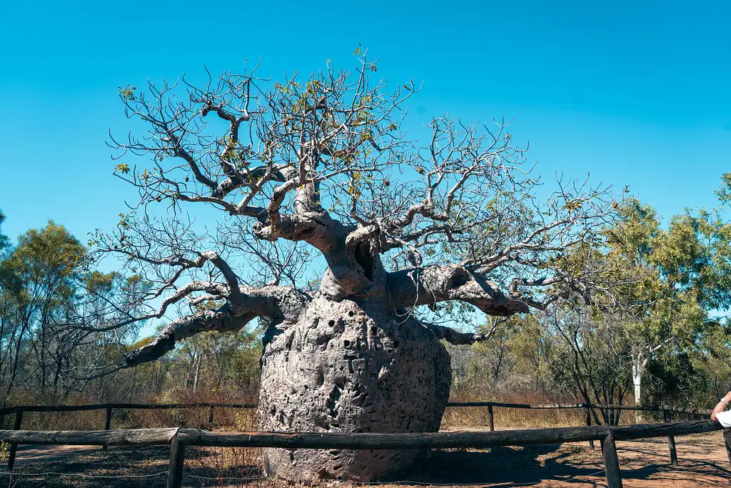 10 Day Western Australia Adventure | Broome to Perth