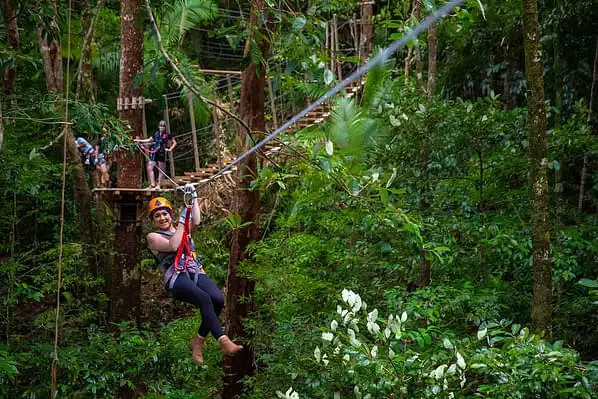 Cape Tribulation zipline tour