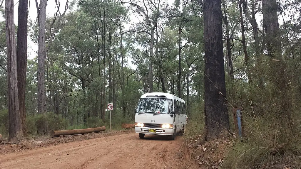Blue Mountains Day Trip With Aussie BBQ