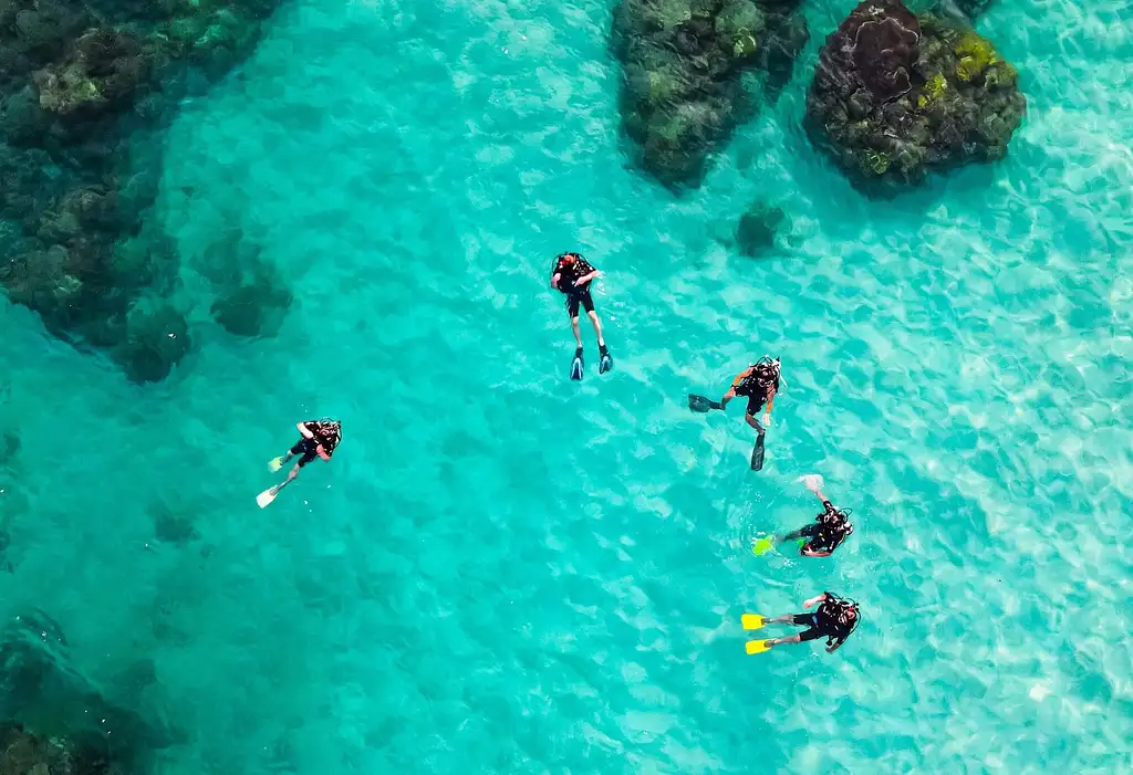 Discover Scuba Diving | Introductory Ocean Dive