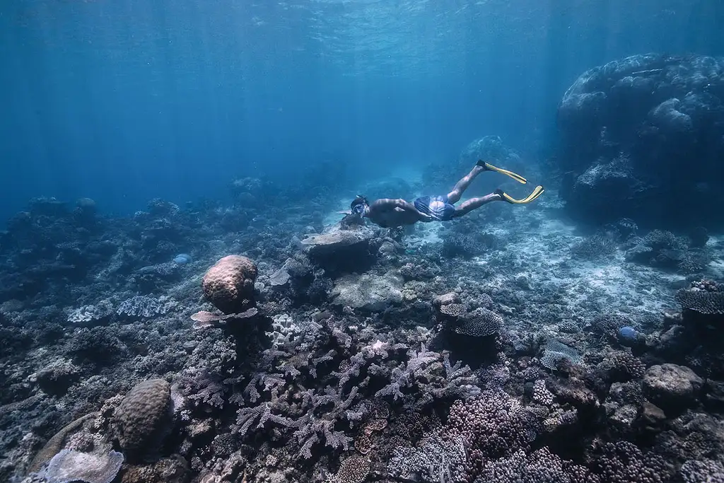 Outer Great Barrier Reef Day Trip on AquaQuest