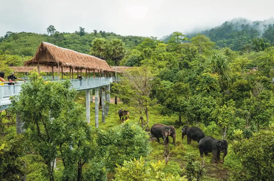 7 Day Thailand Adventure Tour with TikTok's Aunty Sofia (Nov 20 to Nov 26 2023)