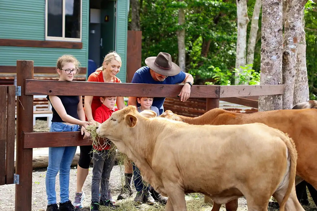 Guided Horse Riding with Petting Zoo entry