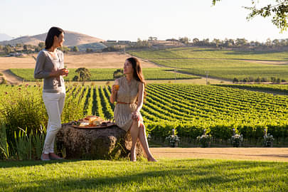 Yarra Valley Small Group Luxury Day Tour