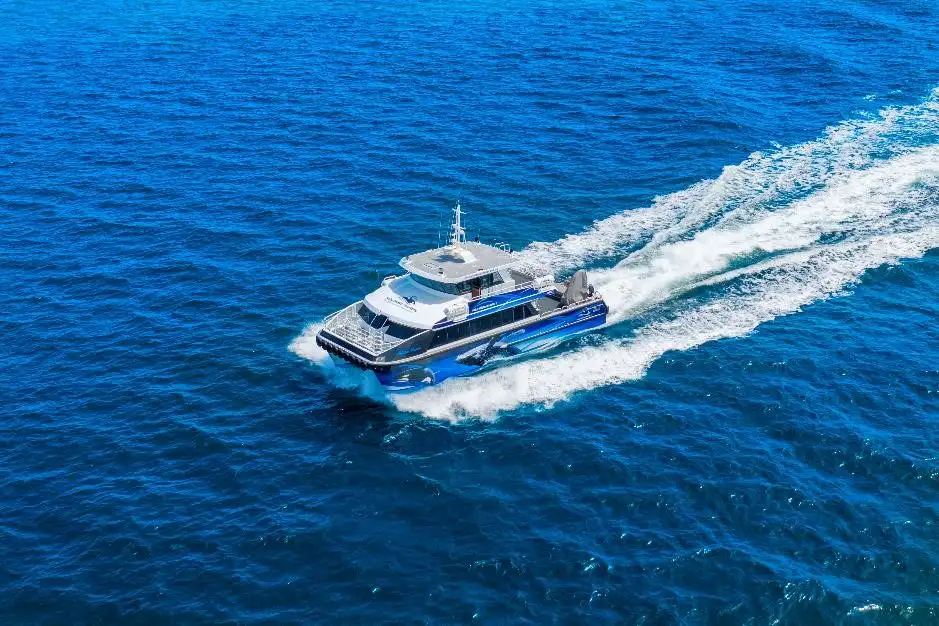 Dunsborough Whale Watching Eco Tour