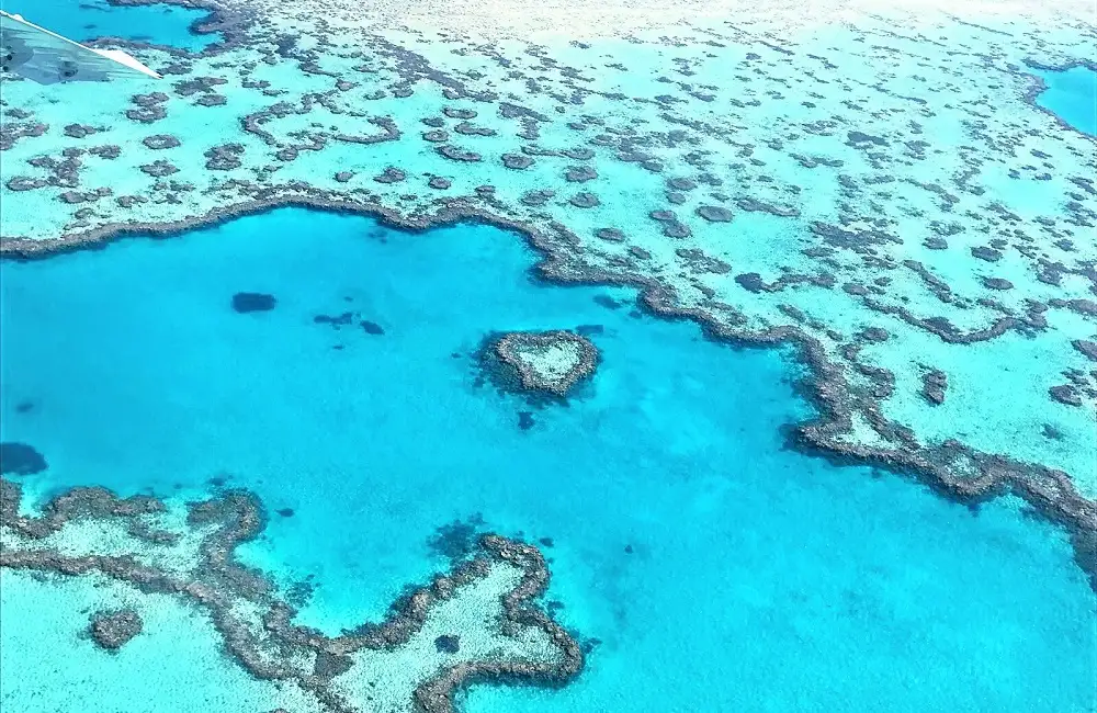 Fly & Cruise Whitsundays Day Tour