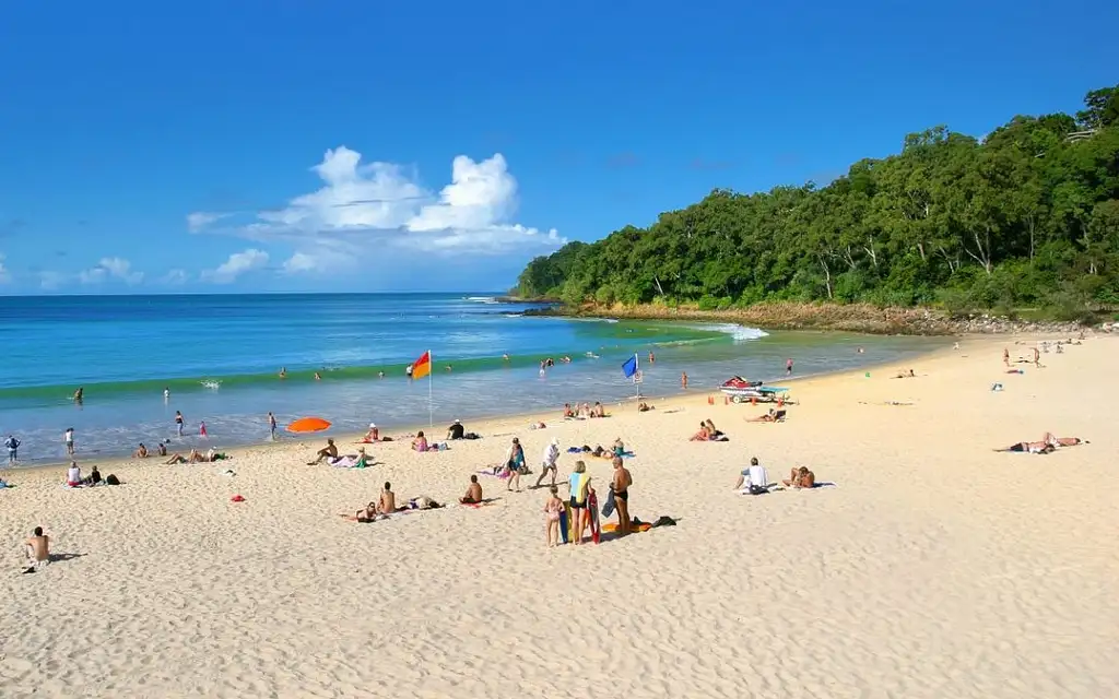 Noosa Everglades Cruise & Highlights with Lunch | Private Tour
