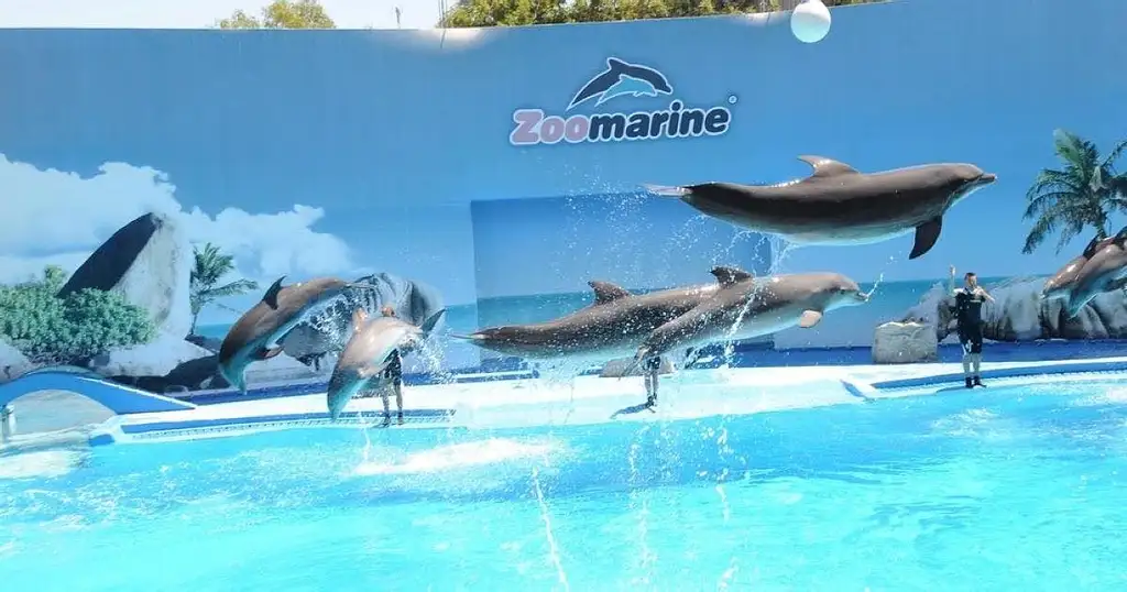 Zoomarine Private Trip From Lisbon With Entrance Tickets