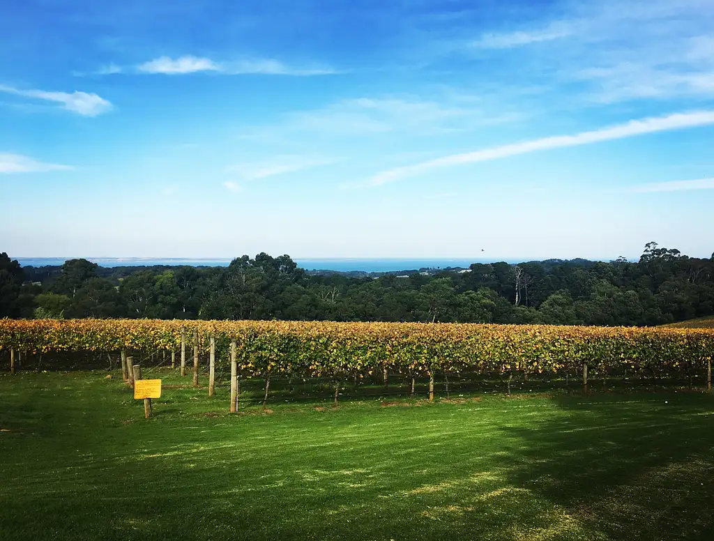 Yarra Valley Winery Tour With Lunch