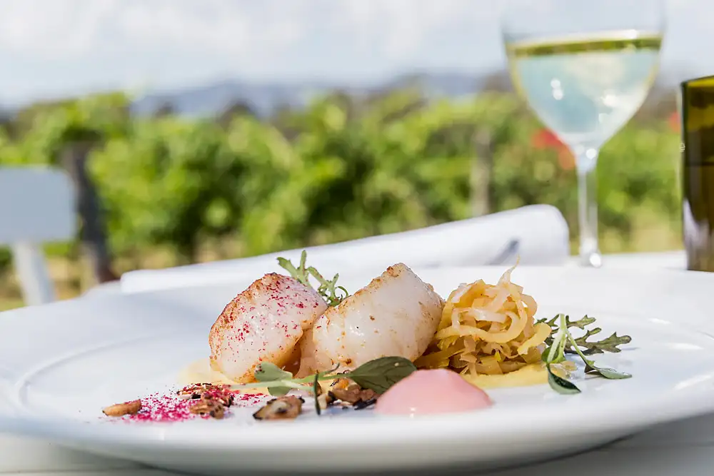 Hunter Valley Helicopter Flight with VIP Lunch