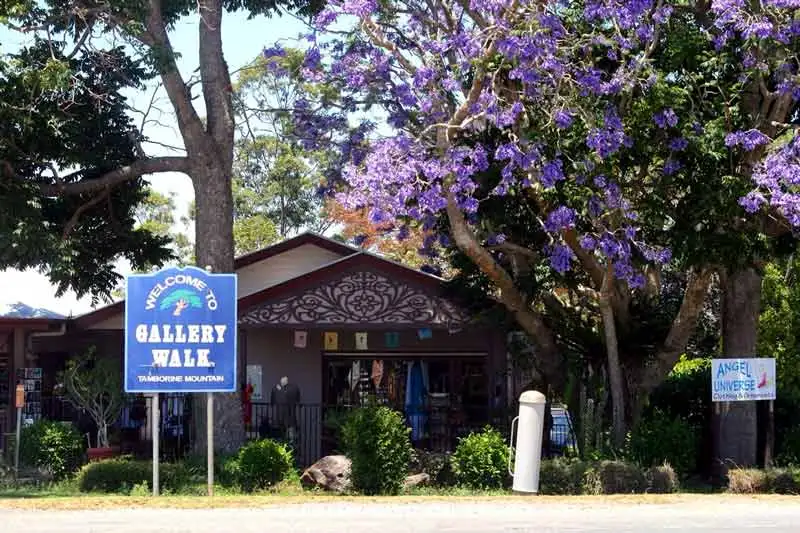 Mt Tamborine Hop on Hop Off Bus | From Brisbane or Gold Coast