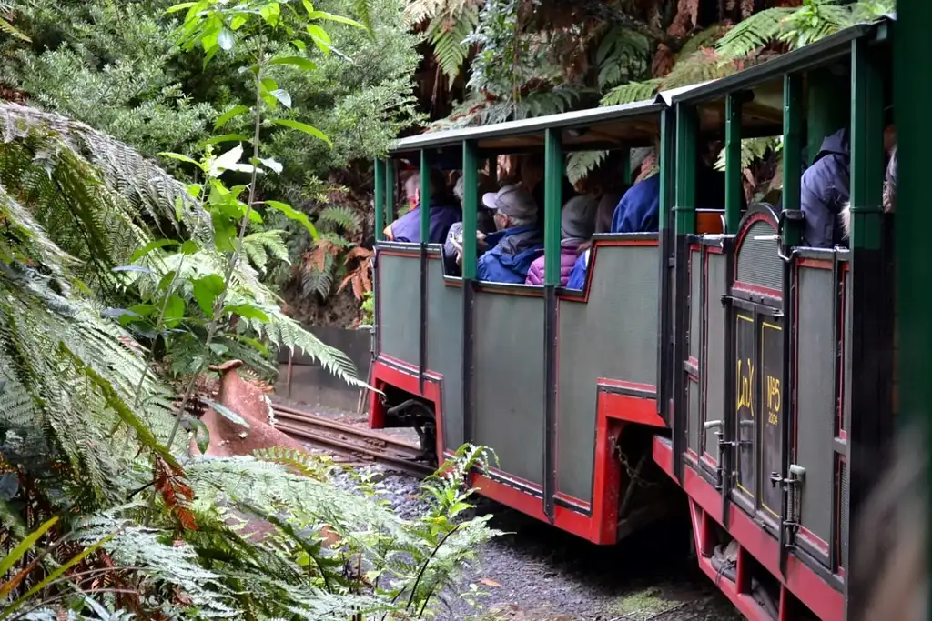 Coromandel Peninsula & Surrounds Day Tour | Auckland