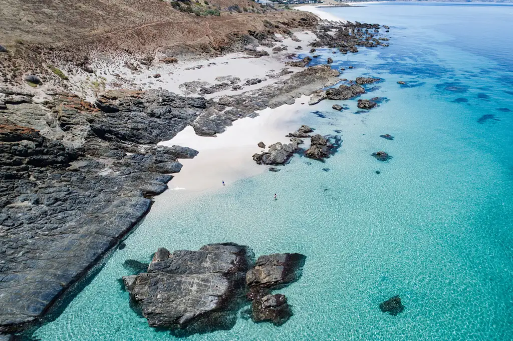 Eco-Certified Sea Wirrina Scenic Cruise
