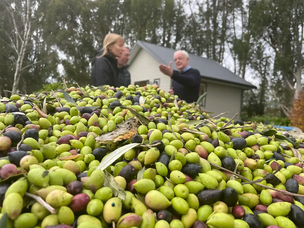 Full Day Martinborough Foodie Tour
