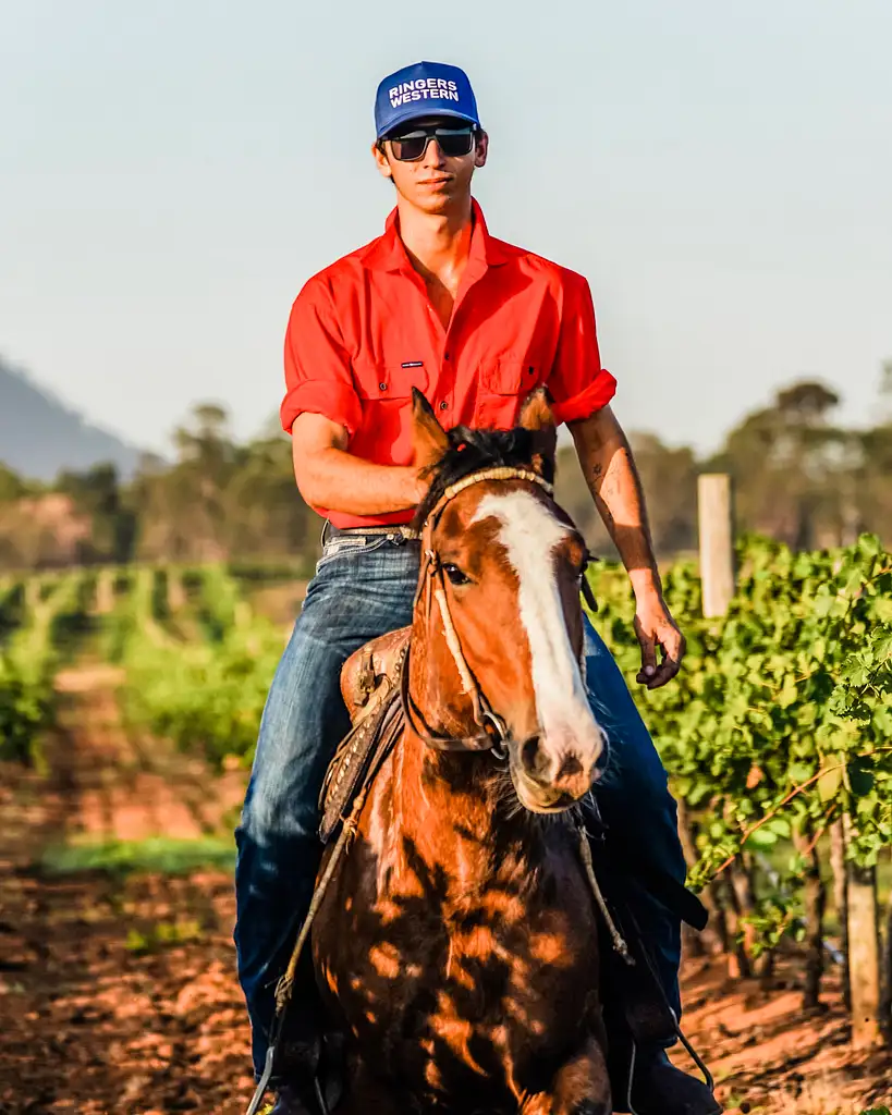 90 Minute Horseback Vineyard Trail Ride - Hunter Valley