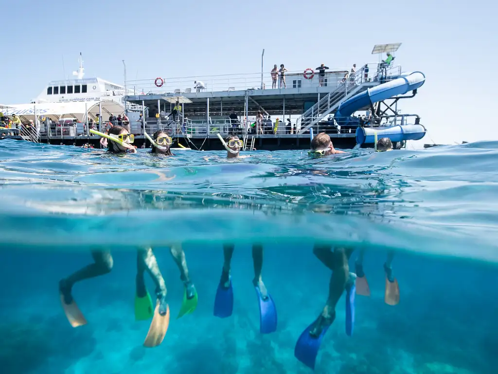 Moore Reef & Fitzroy Island | Reef & Island in a Day Tour