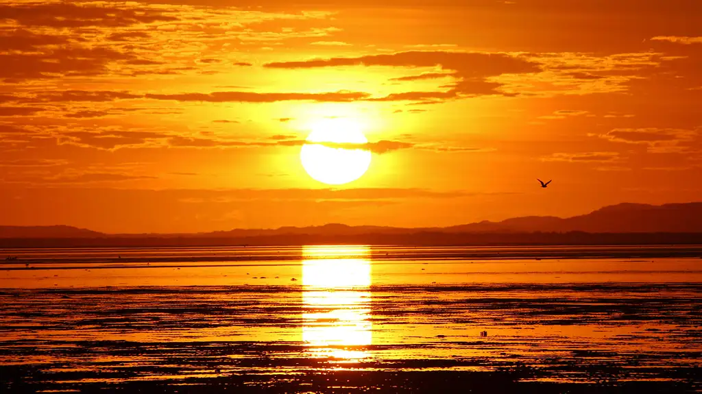 Pilbara Twilight Cultural Tour | Hearson Cove