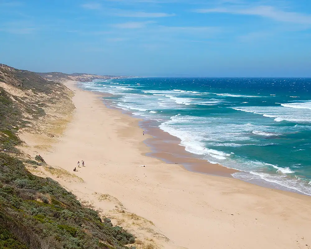 Mornington Peninsula Day Tour