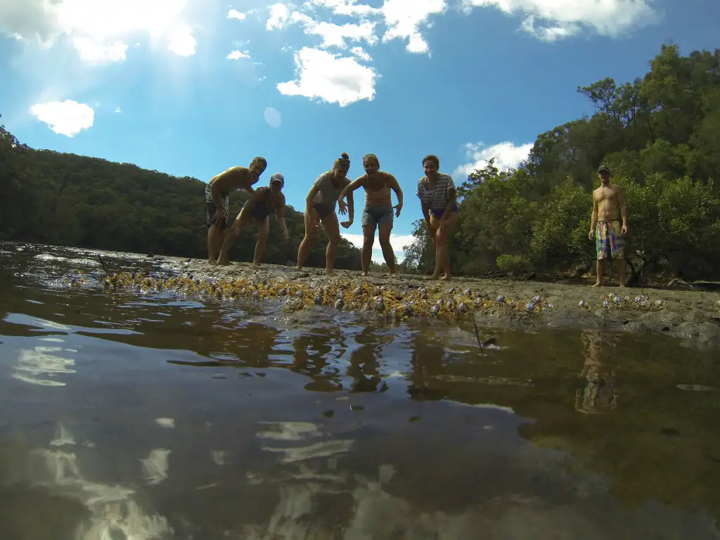 Basin Campground Stand Up Paddle Safari