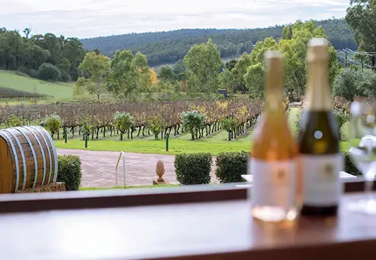 Ultimate Perth Hills Wine, Gin & Cider Full Day Tour