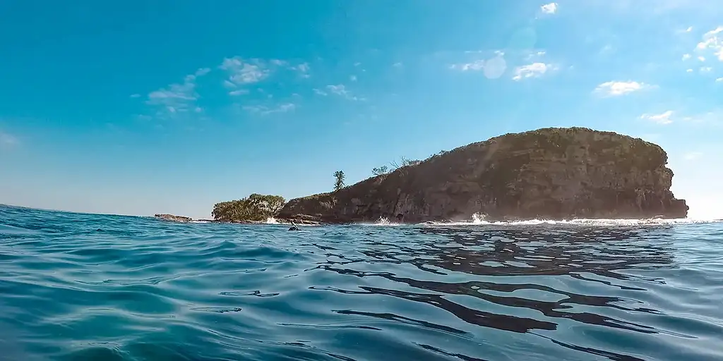 Mudjimba Island Cruise