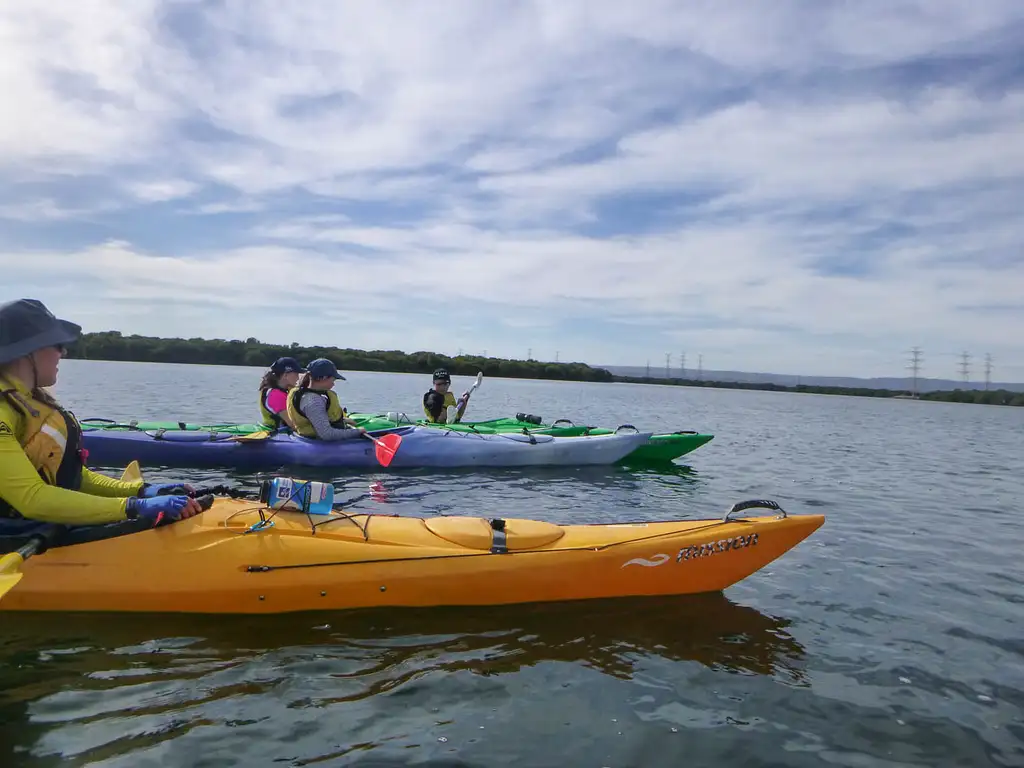Port Adelaide Dolphin Sanctuary & Ship Graveyard Kayak Tour
