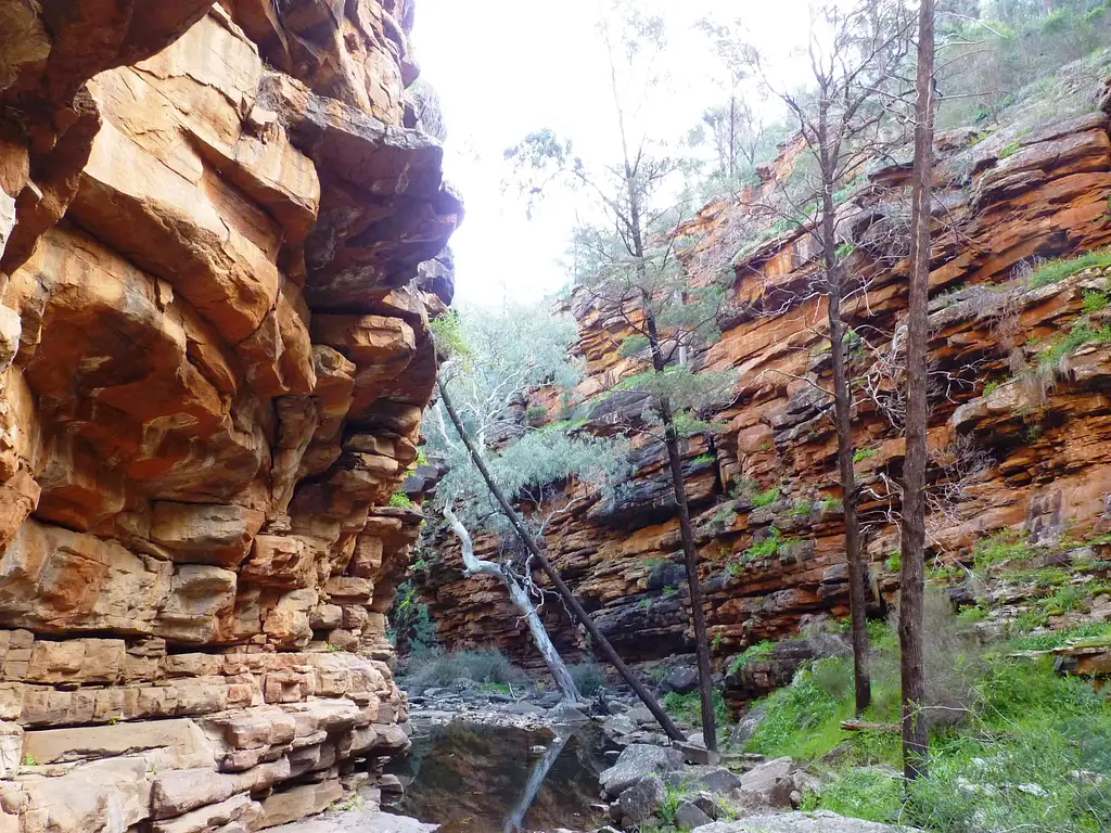7D Darwin Rock to Top Adventure ex Alice Springs