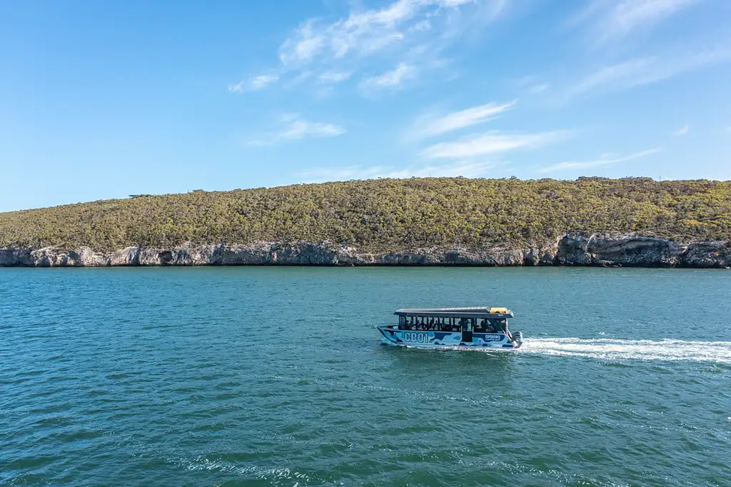 Coffin Bay Oyster Farm Day Tour