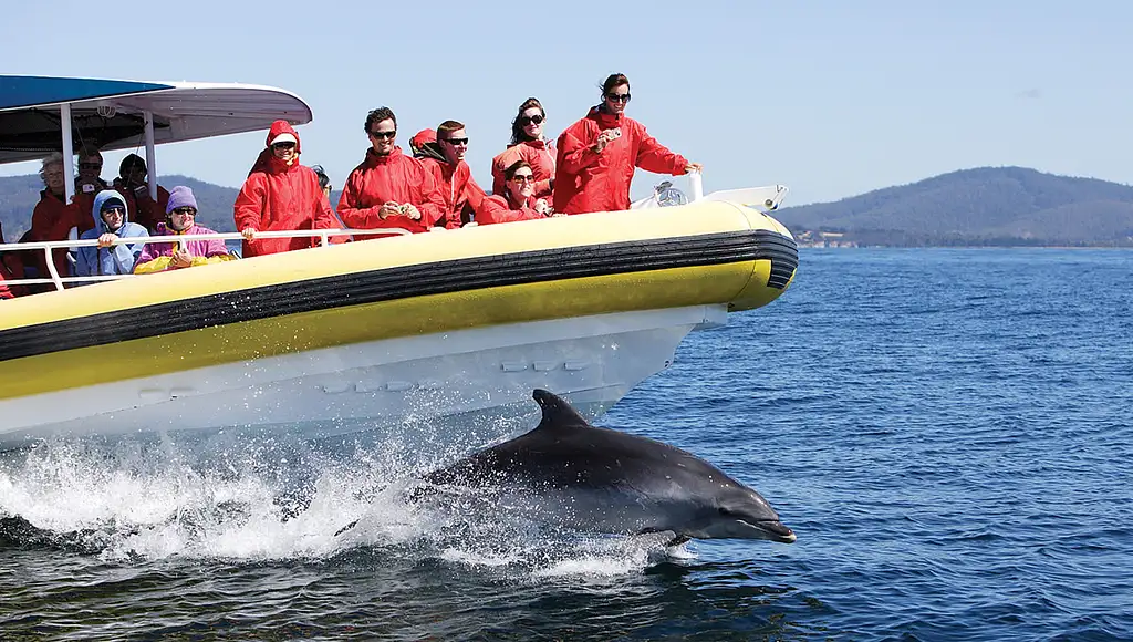 Bruny Island Day Tour From Hobart | Bruny Island Cruise