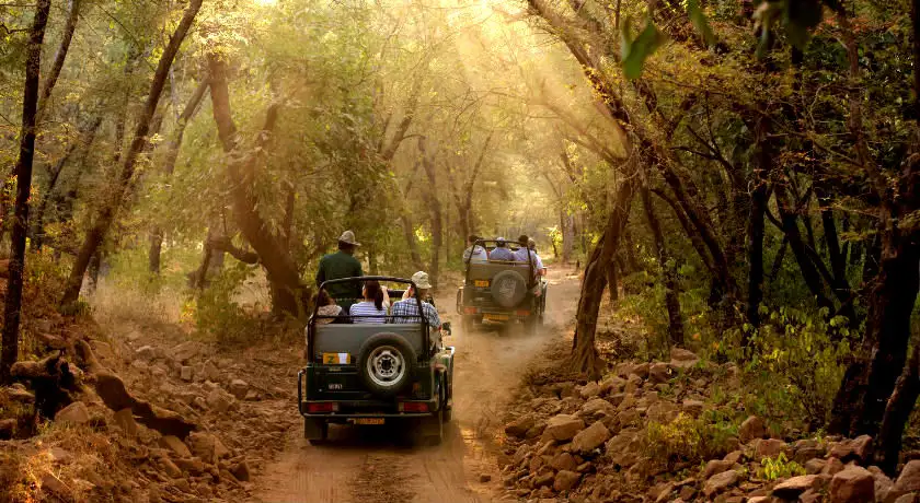 Tour of Rajasthan