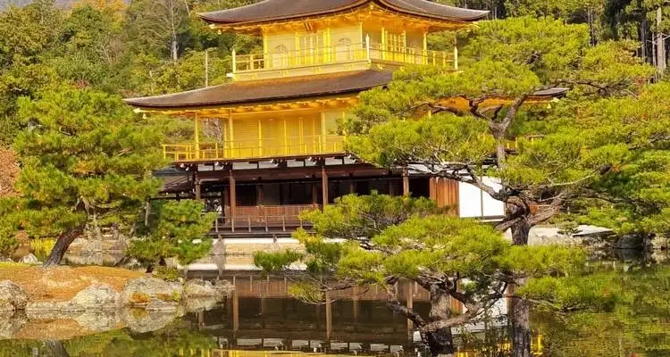 13 Day Japan Essentials Tokyo to Hiroshima Tour | One Life Adventures