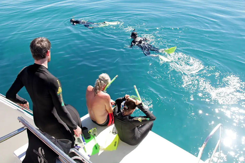 Full Day Snorkel And Dive Outer Great Barrier Reef - Ex Mission Beach