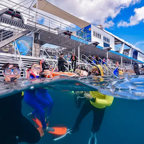 Great Barrier Reef cruises