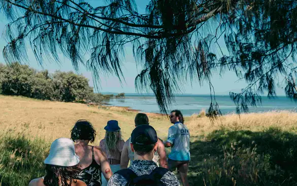 Spend a Day in Moreton Island 