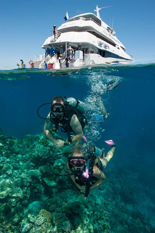 discount great barrier reef tour