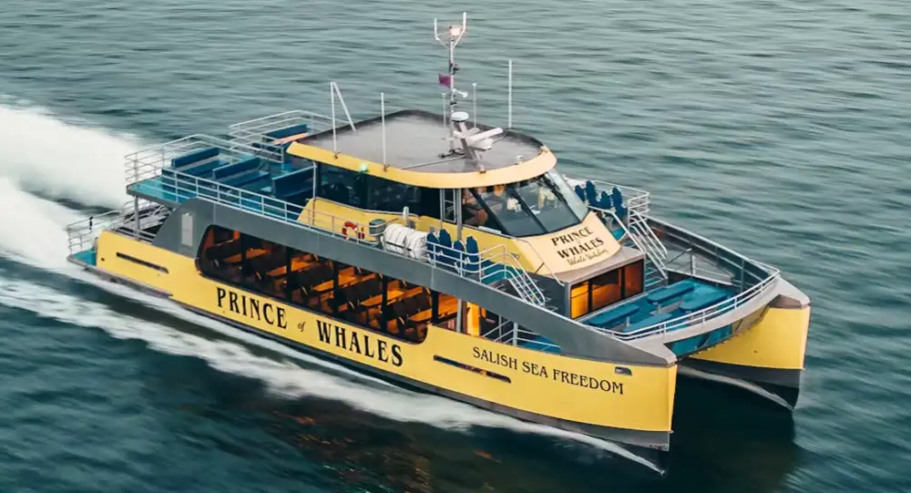 Half-Day Whale Watching From Vancouver
