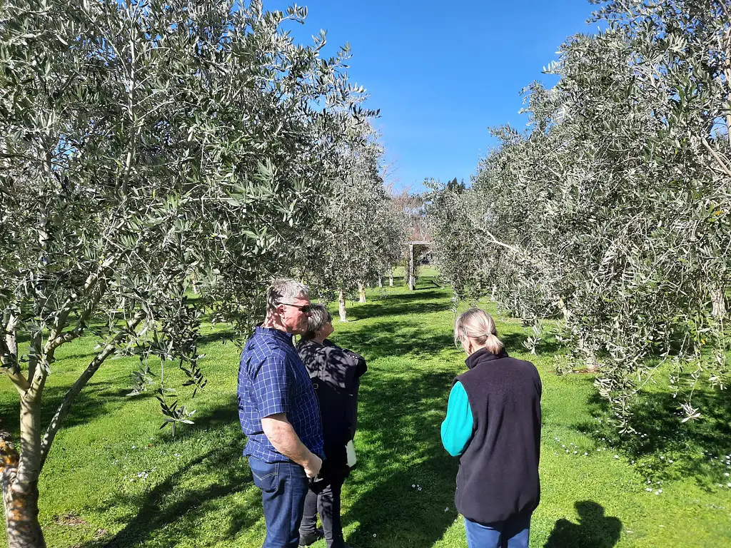 Martinborough Winery & Foodie Tour
