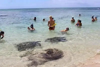 Oahu Island Turtle Tour