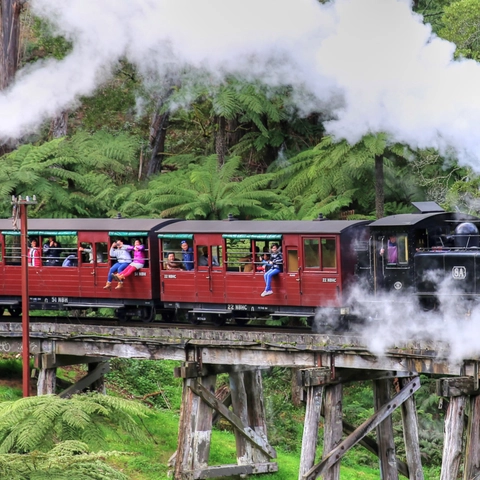 Puffing Billy And Healesville Sanctuary Scenic Bus Tour