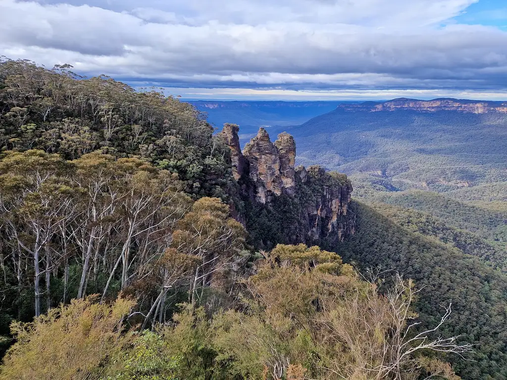 Blue Mountains Small Group Wildlife Tour