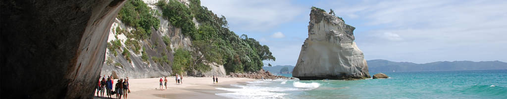 coromandel