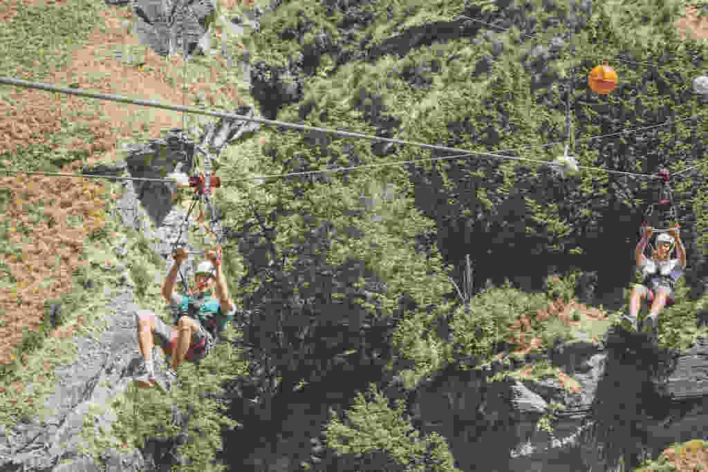 Shotover Canyon Fox