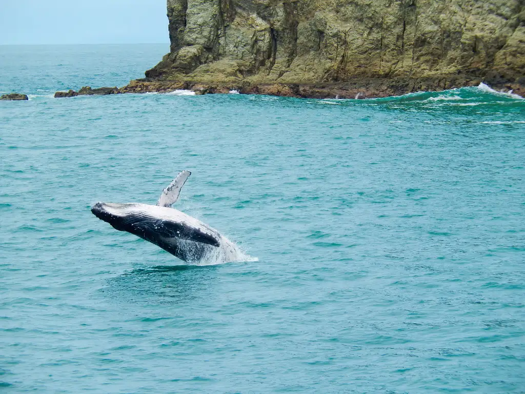 One Day Catamaran Tour in Manuel Antonio