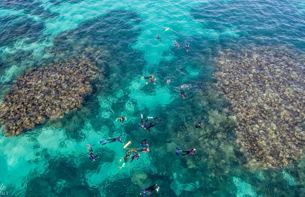Glass bottom boat snorkel tour Ningaloo Reef