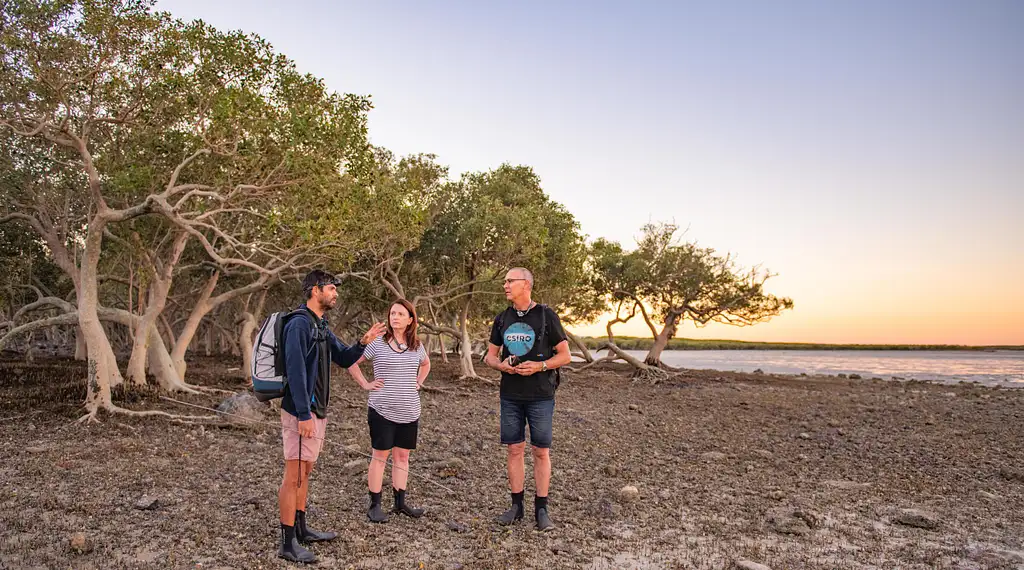Broome Mangrove Discovery Experience