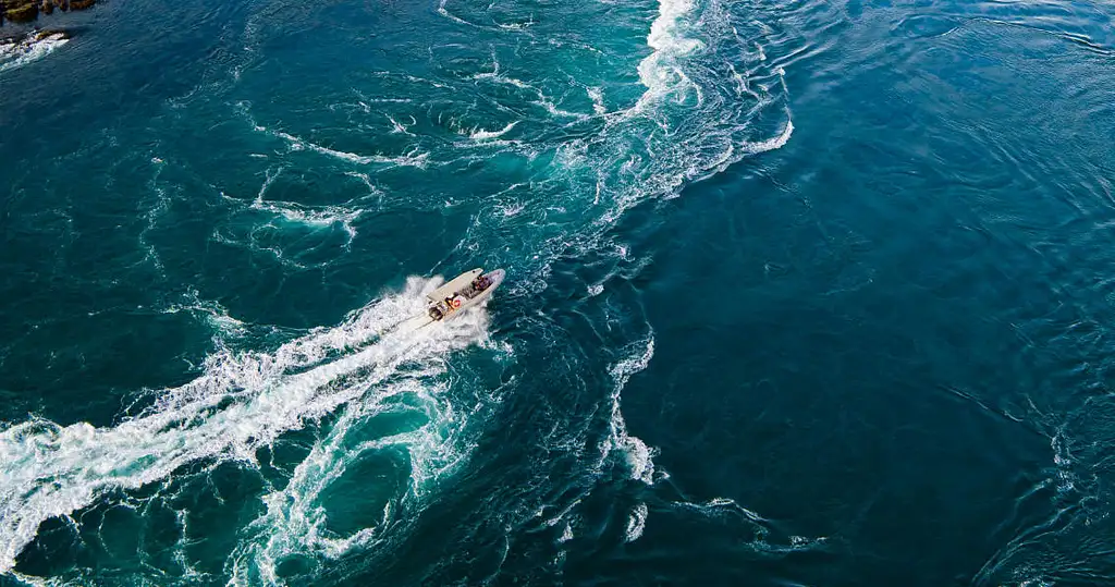 Giant Tides Sea Safari | From Cygnet Bay