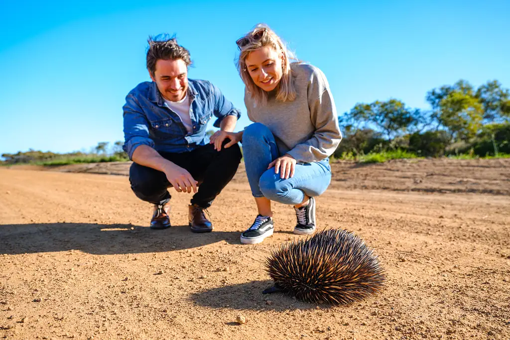7 Day Perth to Exmouth Explorer & Ningaloo Reef