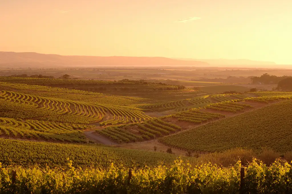 Afternoon Wine Tasting & Adelaide Coast Tour | Half Day