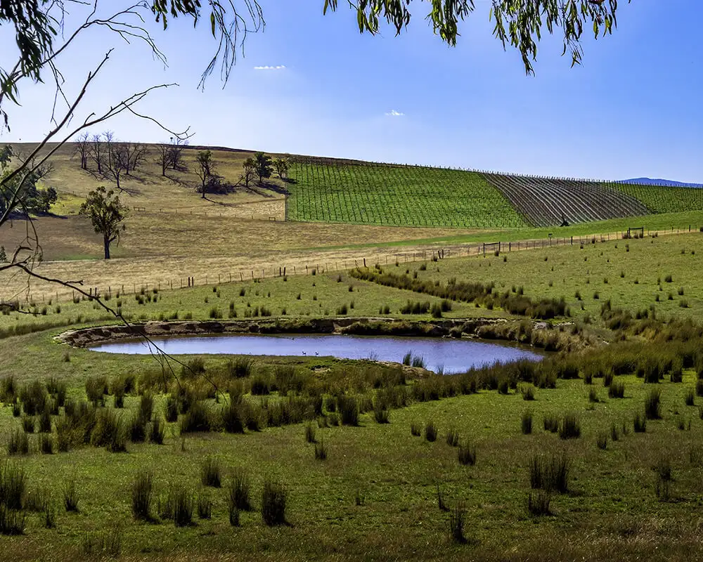 Yarra Valley Small Group Luxury Day Tour